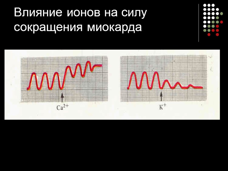 Влияние ионов на силу сокращения миокарда